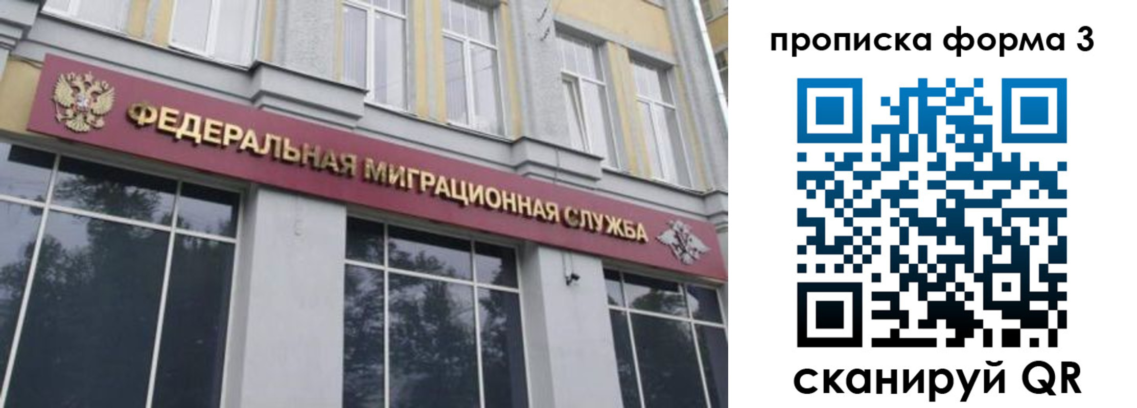 временная регистрация в квартире в Амурской области